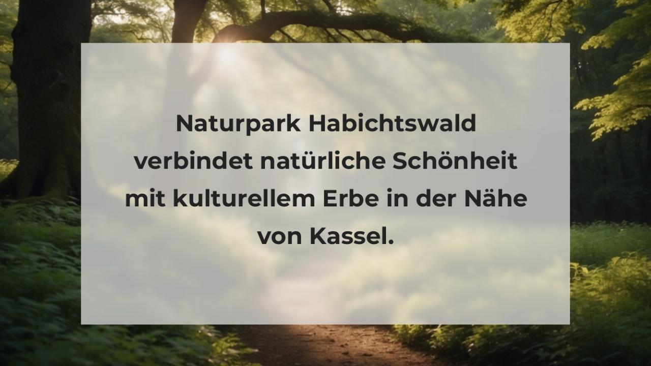 Naturpark Habichtswald verbindet natürliche Schönheit mit kulturellem Erbe in der Nähe von Kassel.